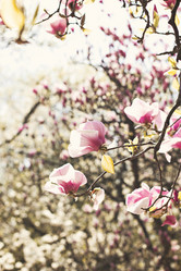 Similar image 13284753