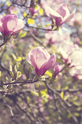 Similar image 13284758