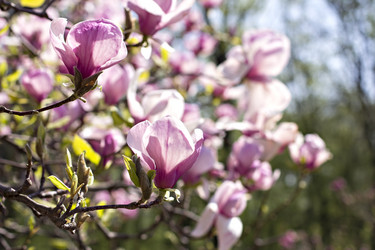 Similar image 13284770