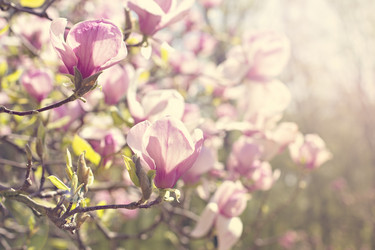 Similar image 13284786