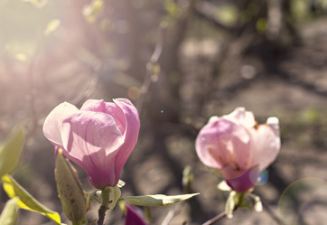 Similar image 13284797