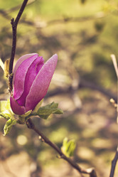 Similar image 13284801