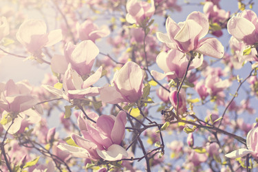 Similar image 13284777