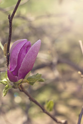 Similar image 13284810