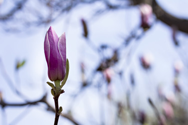 Similar image 13284815