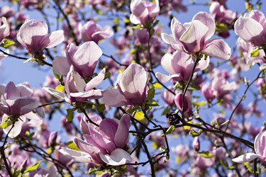 Similar image 13284826