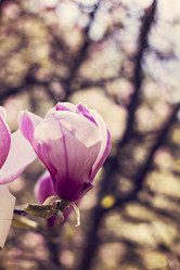 Similar image 13284822