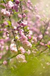 Similar image 13264771