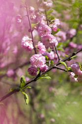 Similar image 13264787