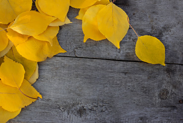 Similar image 13264790