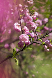 Similar image 13264783