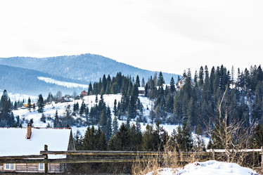 Similar image 13264785