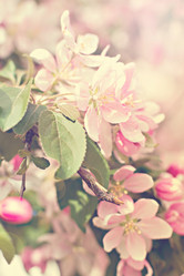 Similar image 13284732