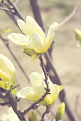 Similar image 13284734