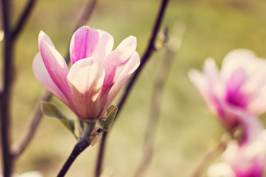 Similar image 13284735