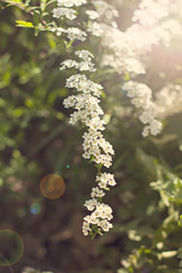 Similar image 13284776