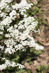 Similar image 13284778