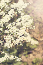 Similar image 13284830