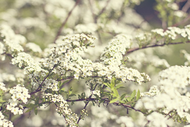 Similar image 13284835