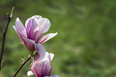 Similar image 13284840