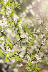 Similar image 13284824