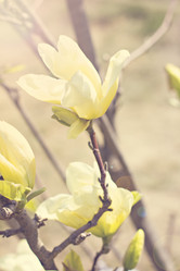 Similar image 13284832