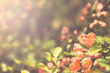 Similar image 13284836