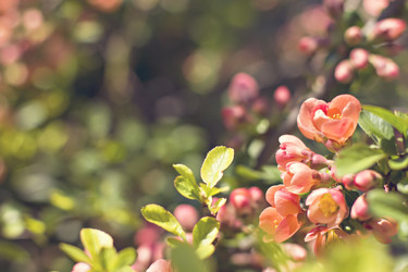 Similar image 13284842