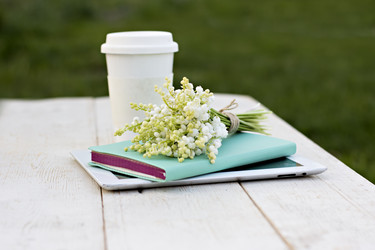 Similar image 13264846