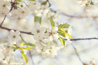 Similar image 13271370