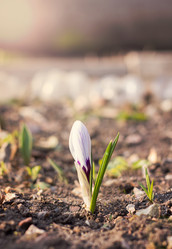 Similar image 13277346