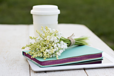 Similar image 13277323