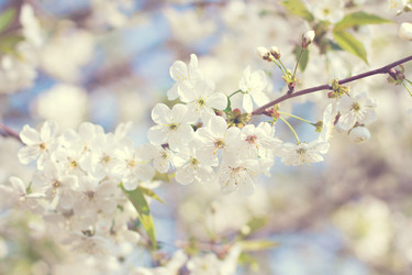 Similar image 13277324