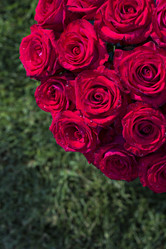 Similar image 13284785