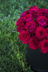 Similar image 13284795