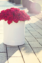 Similar image 13284817