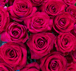 Similar image 13284864