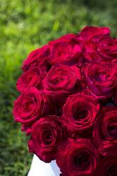 Similar image 13284889