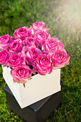 Similar image 13284900