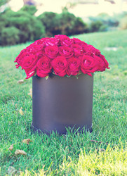 Similar image 13284902