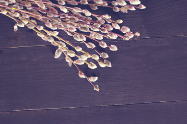 Similar image 13284759