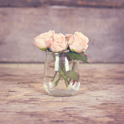 Similar image 13284768