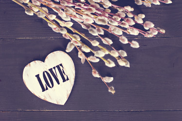 Similar image 13284773