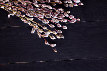 Similar image 13284803