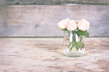 Similar image 13284825