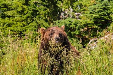 Similar image 13247524