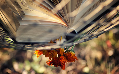 Similar image 13275124