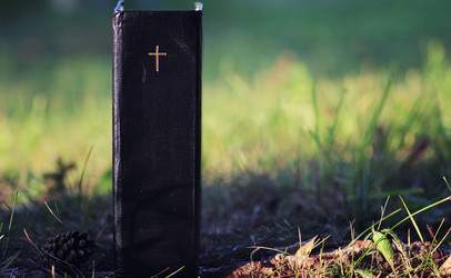 Similar image 13274859