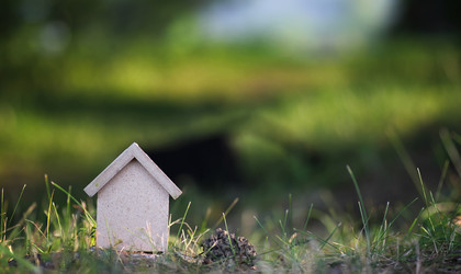 Similar image 13275292