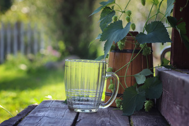 Similar image 13275310